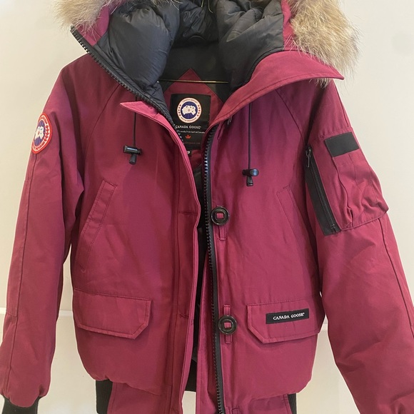 Canada Goose Chiliwack Bomber - Picture 5 of 5